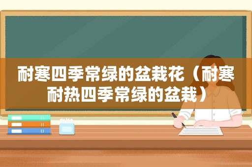 耐寒四季常绿的盆栽花（耐寒耐热四季常绿的盆栽）