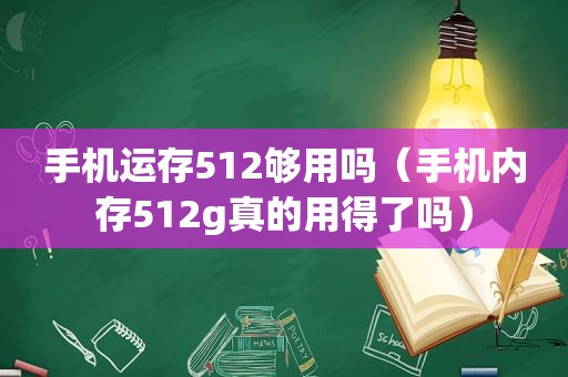 手机运存512够用吗（手机内存512g真的用得了吗）