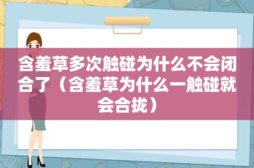 含羞草多次触碰为什么不会闭合了（含羞草为什么一触碰就会合拢）