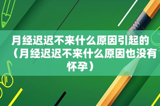 月经迟迟不来什么原因引起的（月经迟迟不来什么原因也没有怀孕）