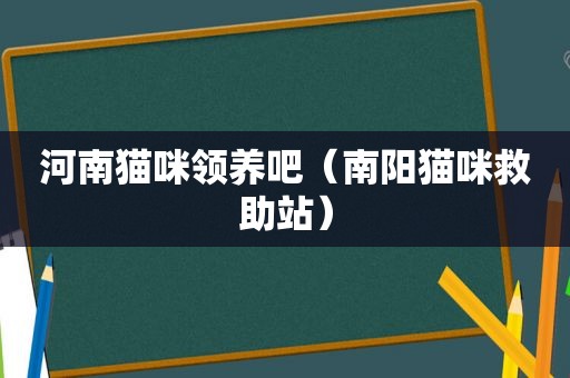 河南猫咪领养吧（南阳猫咪救助站）