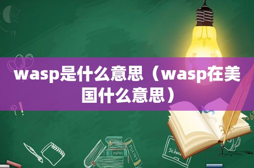 wasp是什么意思（wasp在美国什么意思）