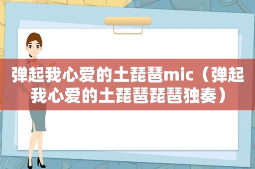 弹起我心爱的土琵琶mic（弹起我心爱的土琵琶琵琶独奏）