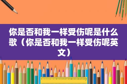 你是否和我一样受伤呢是什么歌（你是否和我一样受伤呢英文）