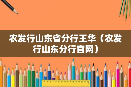 农发行山东省分行王华（农发行山东分行官网）