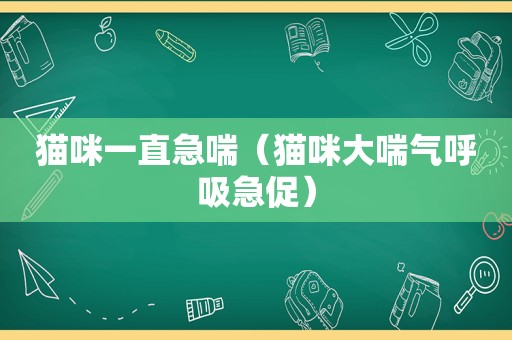 猫咪一直急喘（猫咪大喘气呼吸急促）