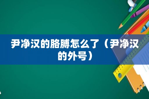 尹净汉的胳膊怎么了（尹净汉的外号）