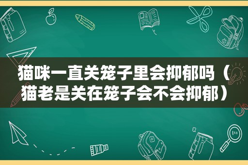 猫咪一直关笼子里会抑郁吗（猫老是关在笼子会不会抑郁）