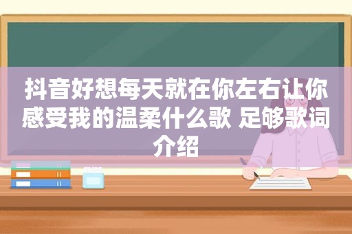 抖音好想每天就在你左右让你感受我的温柔什么歌 足够歌词介绍