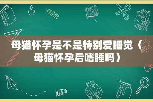 母猫怀孕是不是特别爱睡觉（母猫怀孕后嗜睡吗）