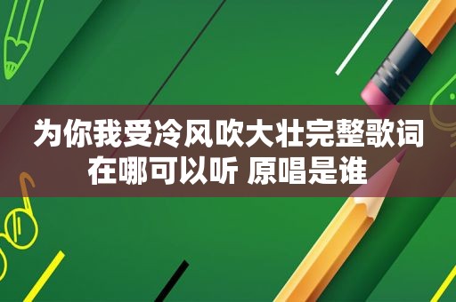 为你我受冷风吹大壮完整歌词在哪可以听 原唱是谁