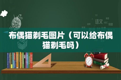 布偶猫剃毛图片（可以给布偶猫剃毛吗）