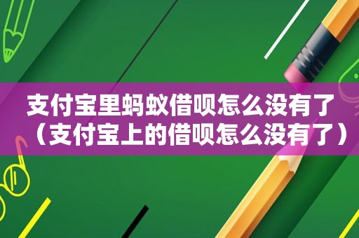 支付宝里蚂蚁借呗怎么没有了（支付宝上的借呗怎么没有了）