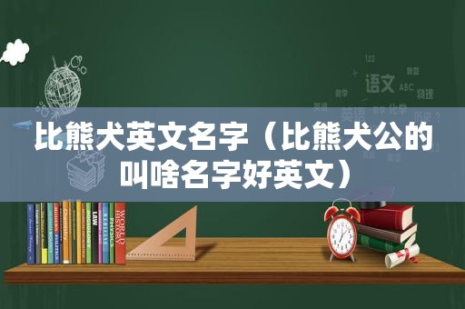 比熊犬英文名字（比熊犬公的叫啥名字好英文）