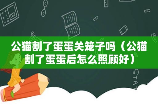 公猫割了蛋蛋关笼子吗（公猫割了蛋蛋后怎么照顾好）