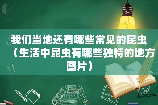 我们当地还有哪些常见的昆虫（生活中昆虫有哪些独特的地方图片）