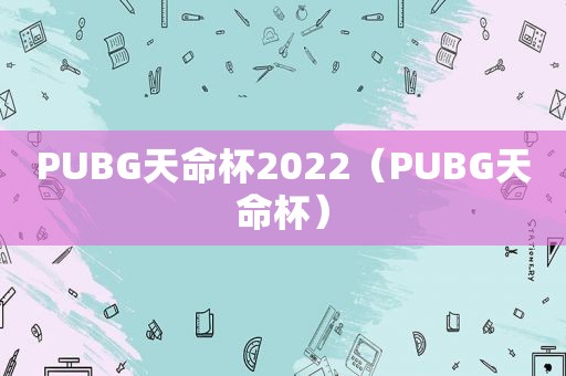 PUBG天命杯2022（PUBG天命杯）