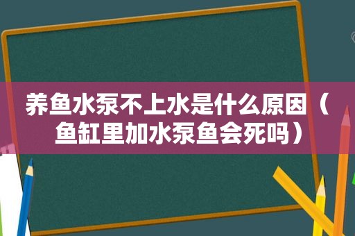 养鱼水泵不上水是什么原因（鱼缸里加水泵鱼会死吗）