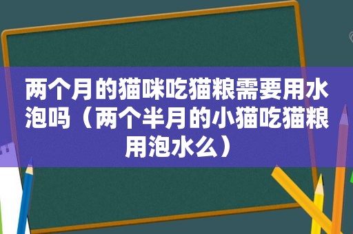 两个月的猫咪吃猫粮需要用水泡吗（两个半月的小猫吃猫粮用泡水么）