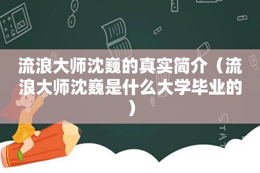 流浪大师沈巍的真实简介（流浪大师沈巍是什么大学毕业的）