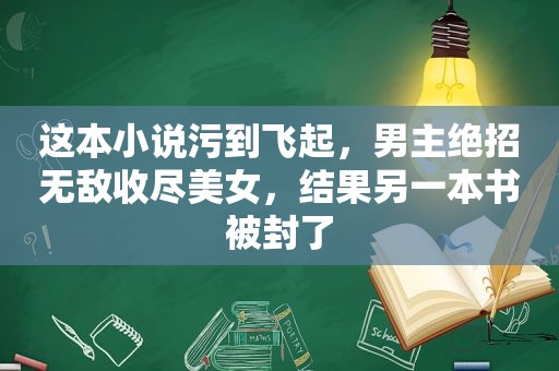 这本小说污到飞起，男主绝招无敌收尽美女，结果另一本书被封了