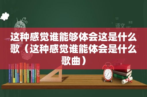 这种感觉谁能够体会这是什么歌（这种感觉谁能体会是什么歌曲）