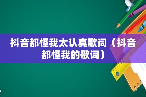 抖音都怪我太认真歌词（抖音都怪我的歌词）