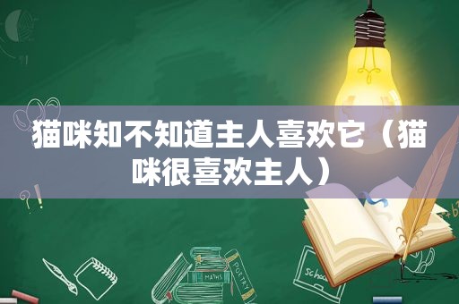 猫咪知不知道主人喜欢它（猫咪很喜欢主人）