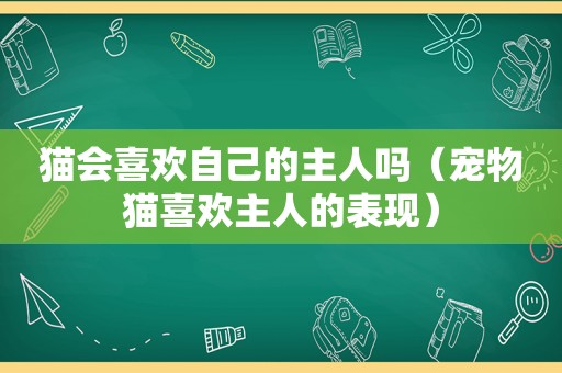 猫会喜欢自己的主人吗（宠物猫喜欢主人的表现）