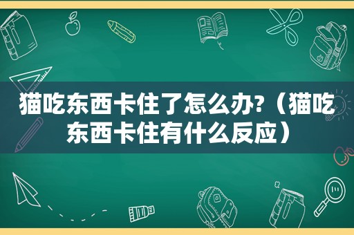 猫吃东西卡住了怎么办?（猫吃东西卡住有什么反应）