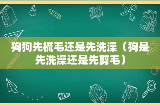 狗狗先梳毛还是先洗澡（狗是先洗澡还是先剪毛）