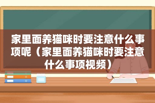 家里面养猫咪时要注意什么事项呢（家里面养猫咪时要注意什么事项视频）