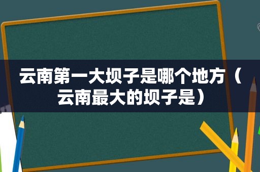 云南第一大坝子是哪个地方（云南最大的坝子是）