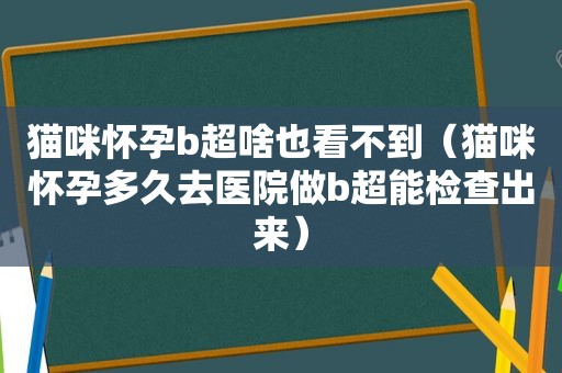 猫咪怀孕b超啥也看不到（猫咪怀孕多久去医院做b超能检查出来）