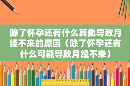 除了怀孕还有什么其他导致月经不来的原因（除了怀孕还有什么可能导致月经不来）