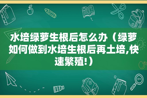 水培绿萝生根后怎么办（绿萝如何做到水培生根后再土培,快速繁殖!）