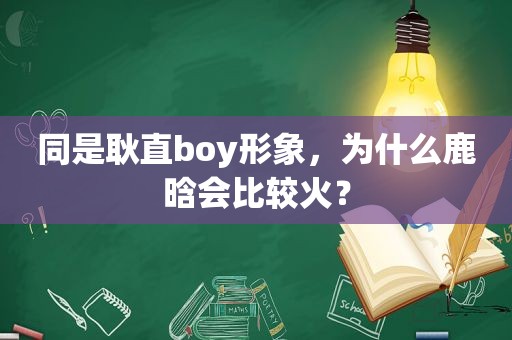 同是耿直boy形象，为什么鹿晗会比较火？