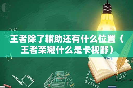 王者除了辅助还有什么位置（王者荣耀什么是卡视野）