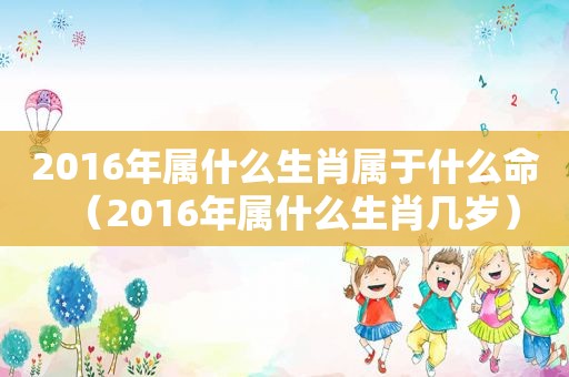 2016年属什么生肖属于什么命（2016年属什么生肖几岁）