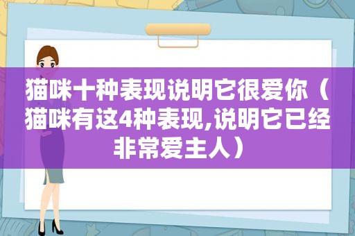 猫咪十种表现说明它很爱你（猫咪有这4种表现,说明它已经非常爱主人）