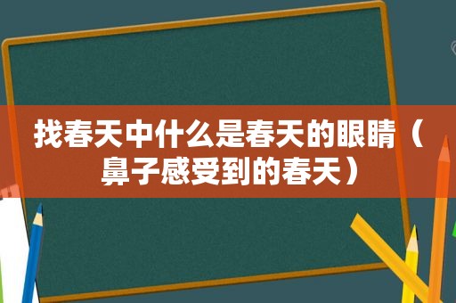 找春天中什么是春天的眼睛（鼻子感受到的春天）