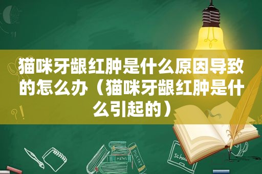 猫咪牙龈红肿是什么原因导致的怎么办（猫咪牙龈红肿是什么引起的）