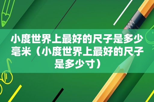 小度世界上最好的尺子是多少毫米（小度世界上最好的尺子是多少寸）