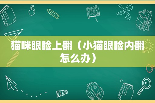 猫咪眼睑上翻（小猫眼睑内翻怎么办）