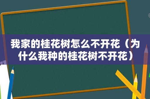 我家的桂花树怎么不开花（为什么我种的桂花树不开花）