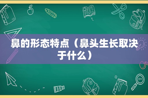 鼻的形态特点（鼻头生长取决于什么）