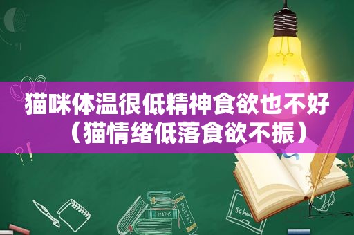 猫咪体温很低精神食欲也不好（猫情绪低落食欲不振）