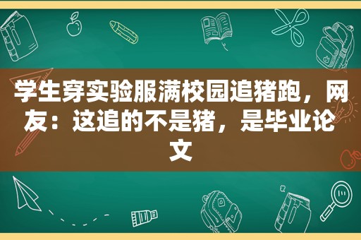 学生穿实验服满校园追猪跑，网友：这追的不是猪，是毕业论文