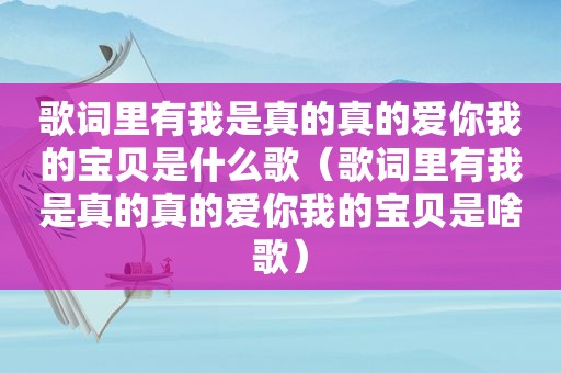 歌词里有我是真的真的爱你我的宝贝是什么歌（歌词里有我是真的真的爱你我的宝贝是啥歌）