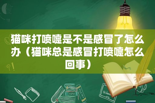 猫咪打喷嚏是不是感冒了怎么办（猫咪总是感冒打喷嚏怎么回事）